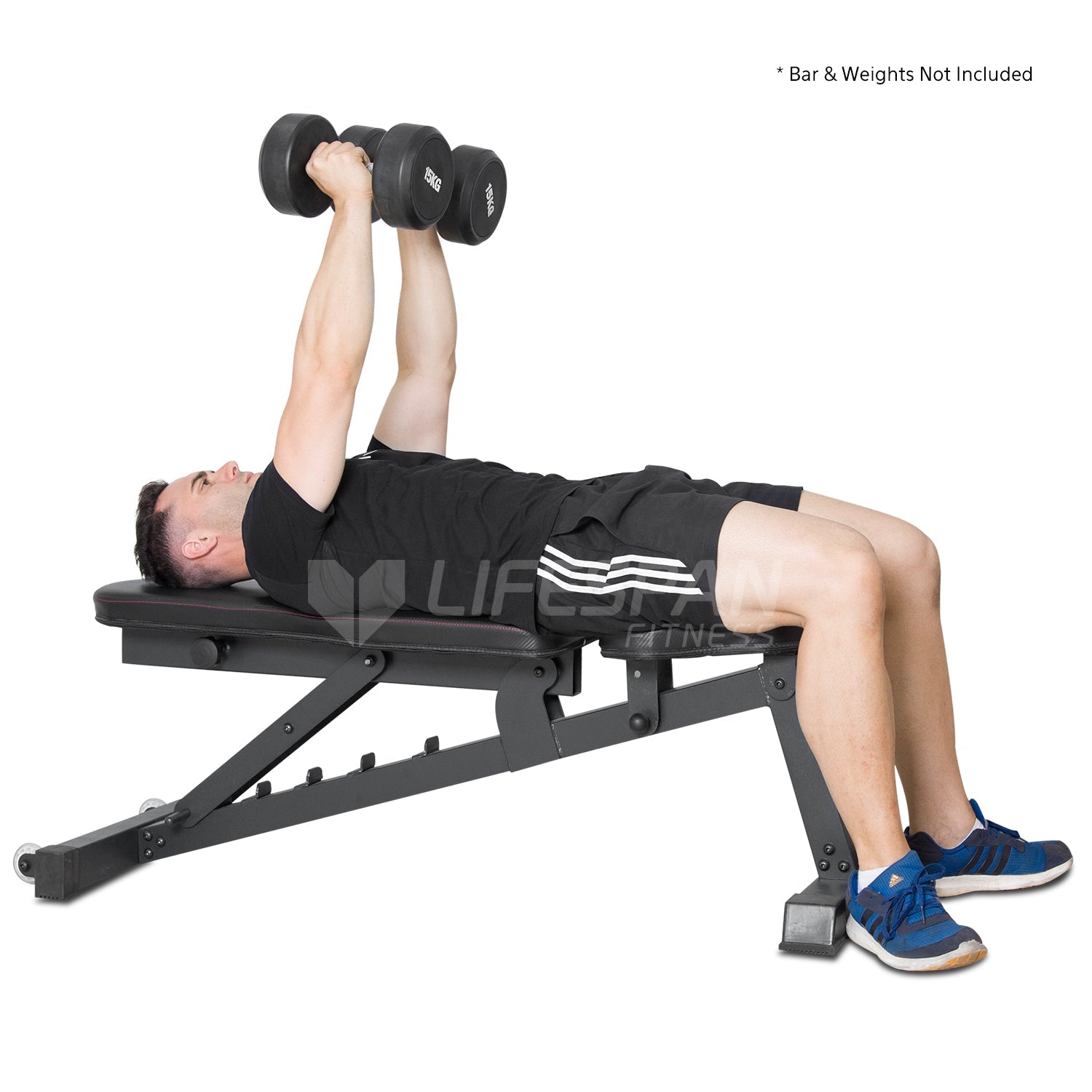 CORTEX BN-6 FID Bench