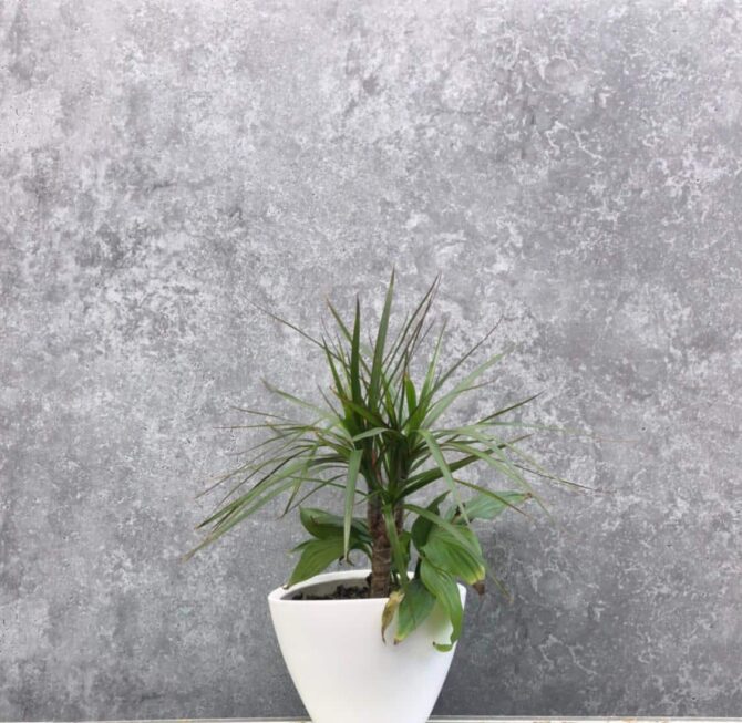 Concrete look wall panelling