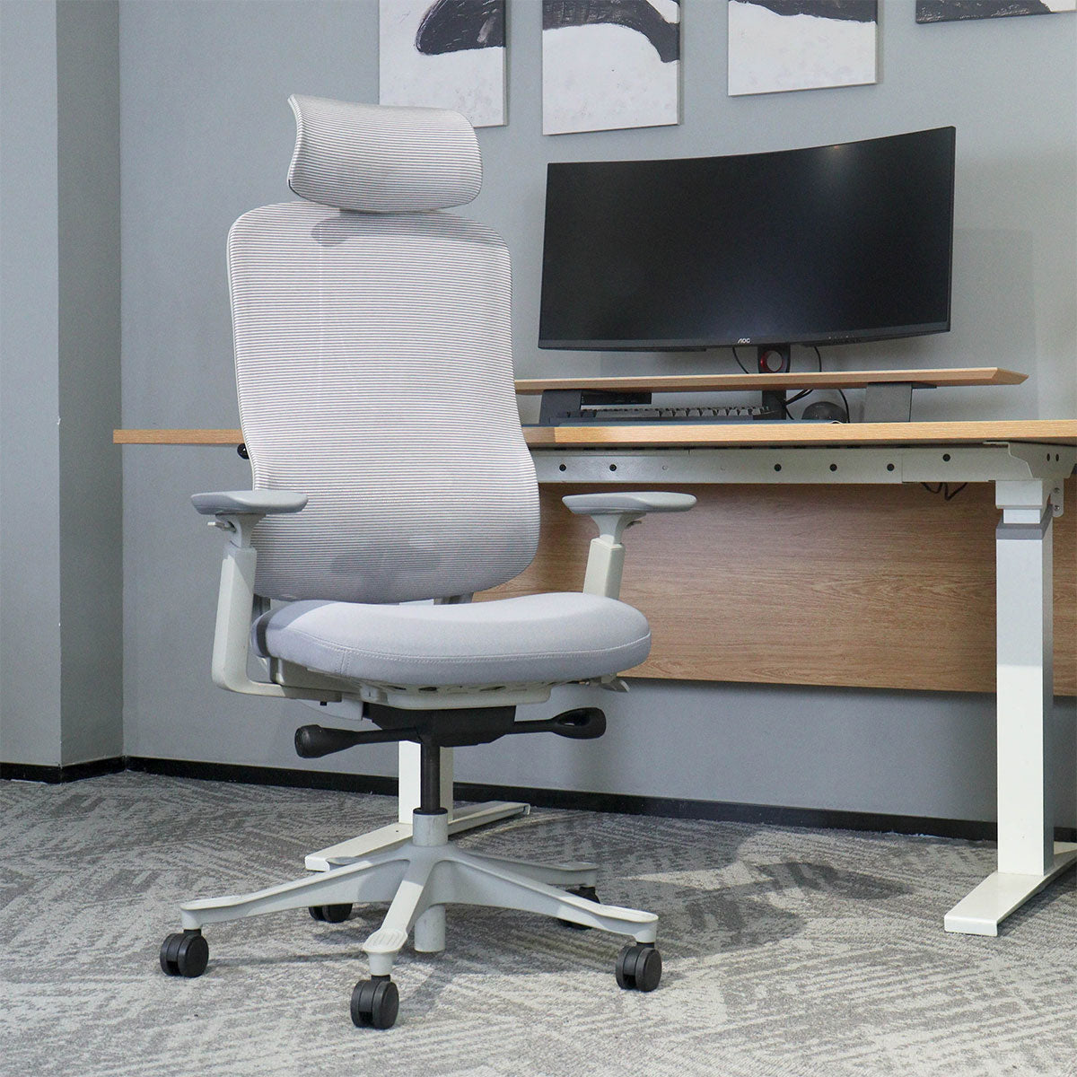 DM8 Ergonomic Office Desk Chair (White/Grey)