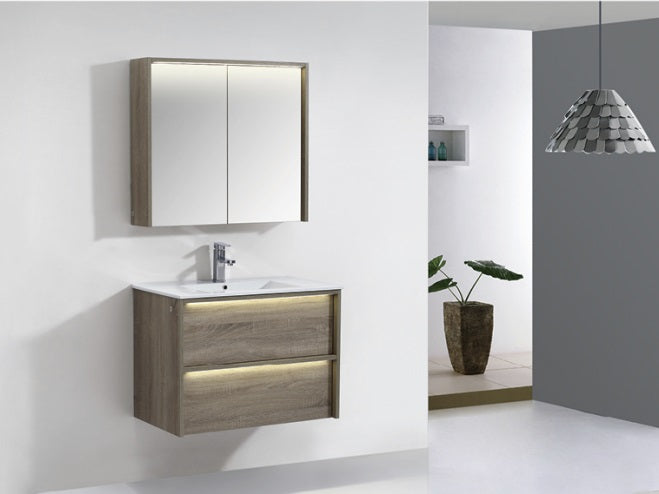 NEON Wall Hung Vanity