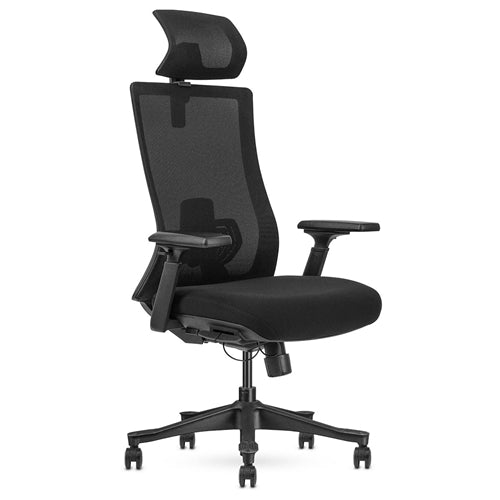 Lifespan Fitness DM9 Ergonomic Mesh High Back Office Chair