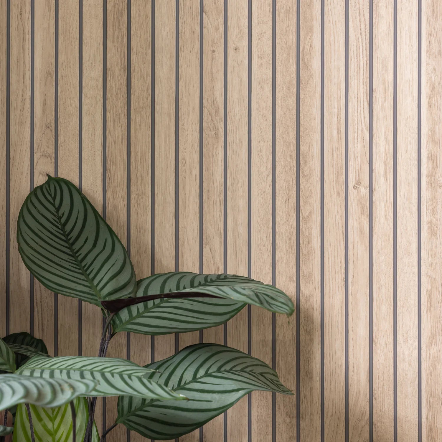 Scandia Light Oak bathroom wall panel with plant